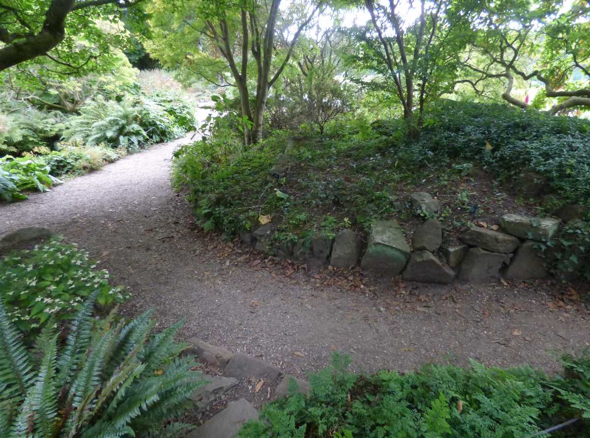 Path from Farrer Walk to Wilson Walk - Birmingham Botanical Gardens (September 2019)